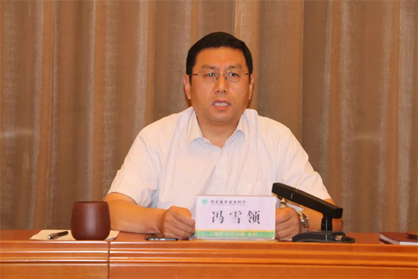 中国电子游艺网站下载安装
