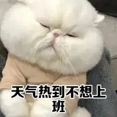 中国电子游艺网站下载安装
