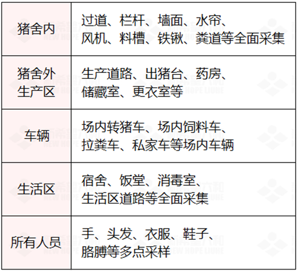 中国电子游艺网站下载安装
