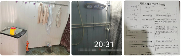 中国电子游艺网站下载安装
