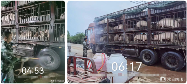 中国电子游艺网站下载安装
