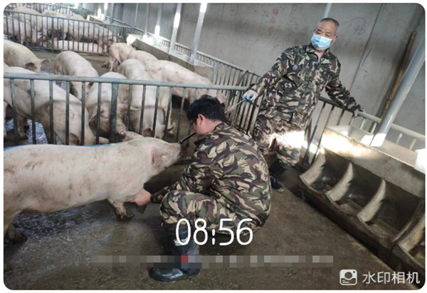 中国电子游艺网站下载安装
