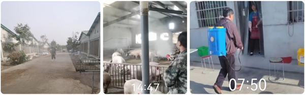 中国电子游艺网站下载安装
