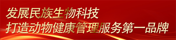 中国电子游艺网站下载安装
