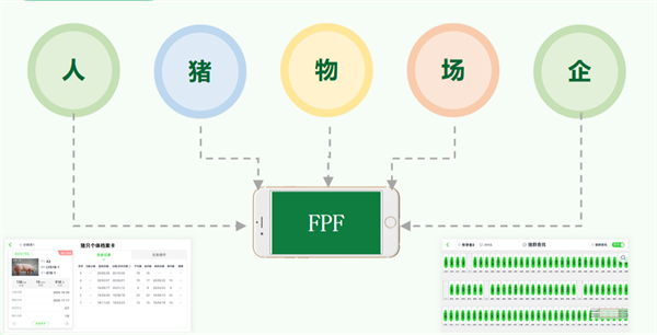 中国电子游艺网站下载安装
