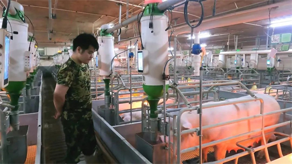 中国电子游艺网站下载安装
