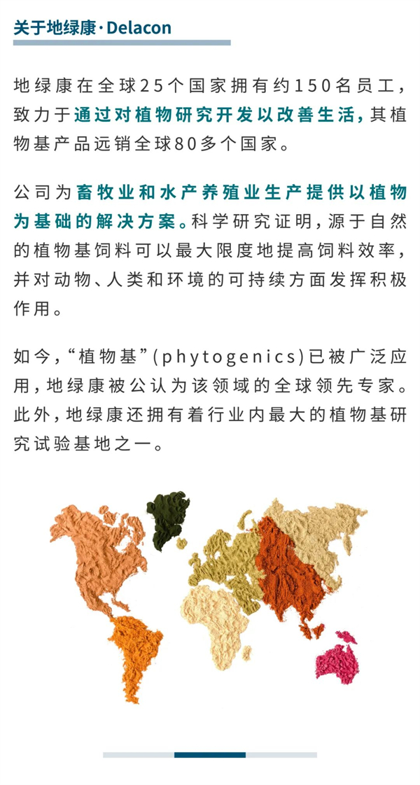 中国电子游艺网站下载安装
