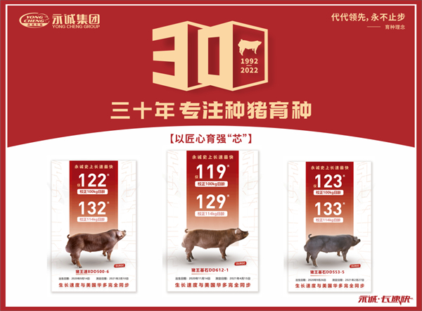 中国电子游艺网站下载安装
