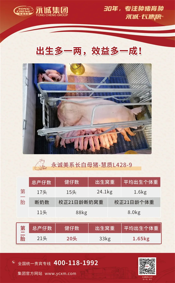 中国电子游艺网站下载安装
