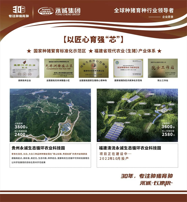 中国电子游艺网站下载安装
