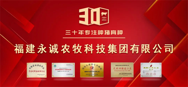中国电子游艺网站下载安装
