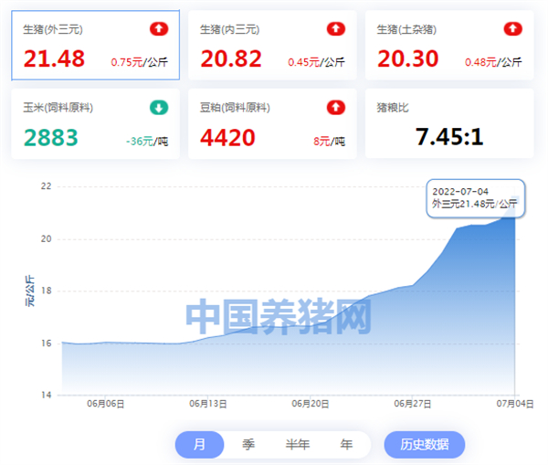 中国电子游艺网站下载安装