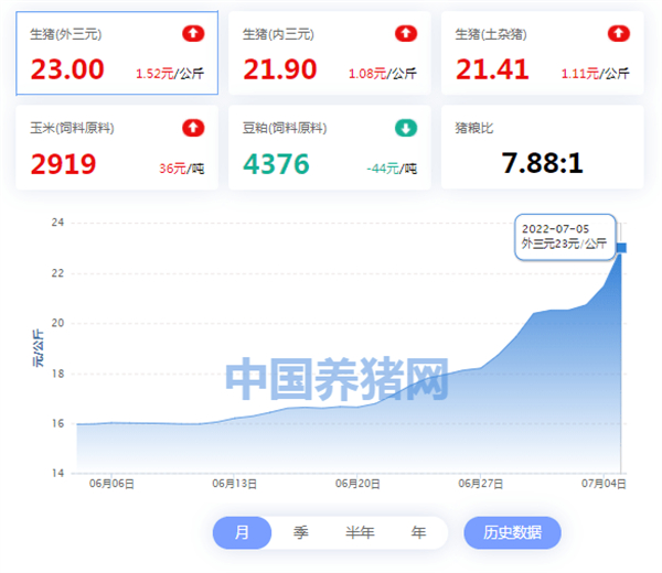 中国电子游艺网站下载安装