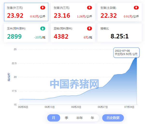 中国电子游艺网站下载安装
