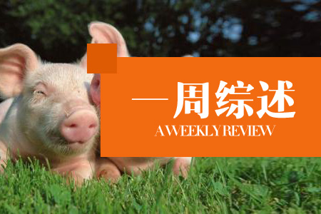 月末生猪供应缩紧，市场看涨情绪较浓，猪价小幅震荡上涨！（第13周综述）