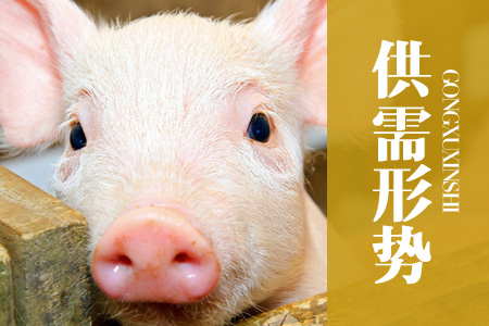 2024年01月中国农产品（玉米、大豆）供需形势分析