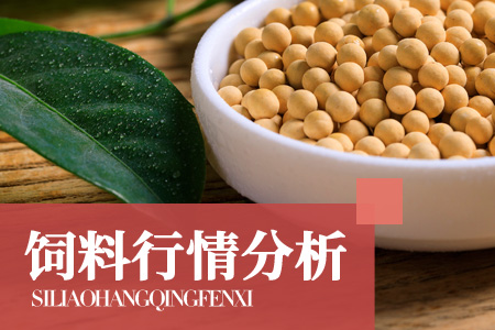 CBOT豆粕暴涨4.7%，创下三个月新高