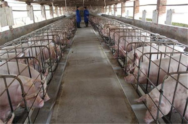 09月05日：全国农产品批发市场电子游艺平台
平均价格为30.34元/公斤