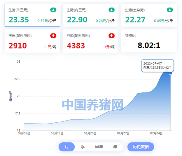 中国电子游艺网站下载安装
