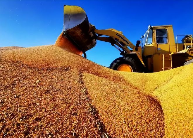 补齐生物农业短板 保障国家粮食安全