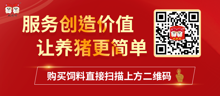 中国电子游艺网站下载安装
