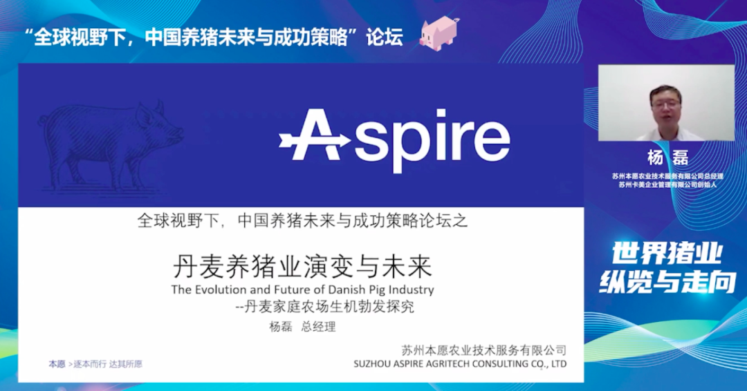 中国电子游艺网站下载安装
