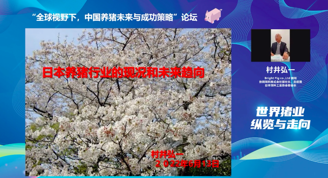 中国电子游艺网站下载安装
