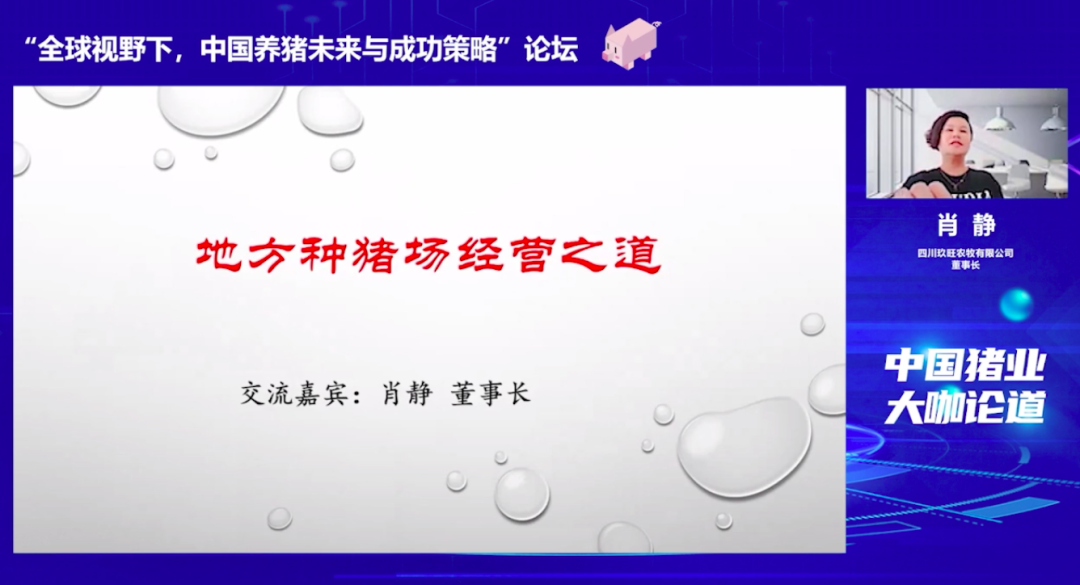 中国电子游艺网站下载安装
