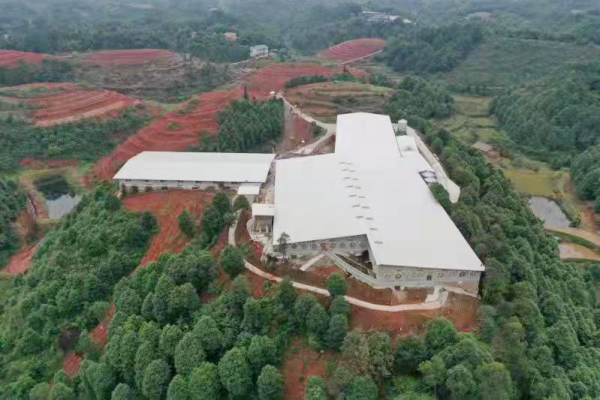 发展循环绿色农业，助推乡村产业振兴