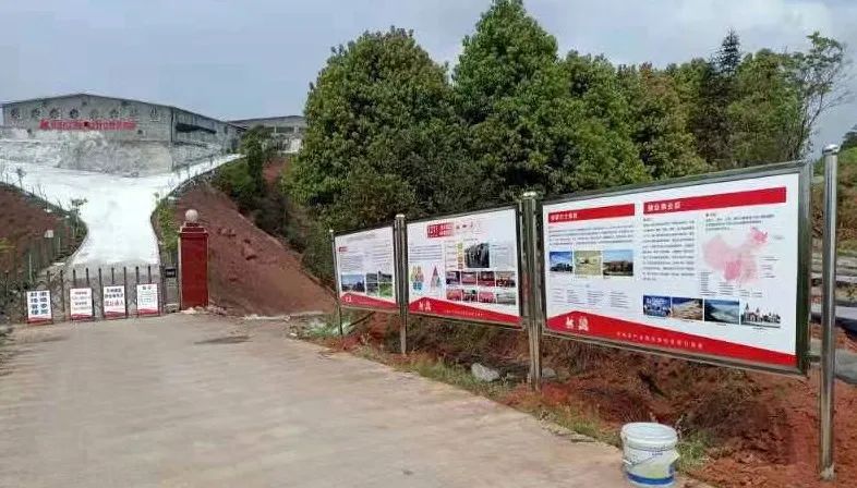 中国电子游艺网站下载安装

