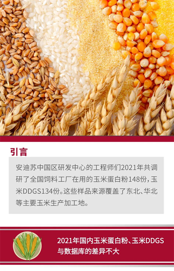 中国电子游艺网站下载安装
