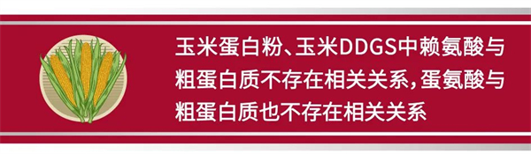 中国电子游艺网站下载安装
