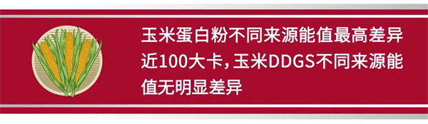 中国电子游艺网站下载安装
