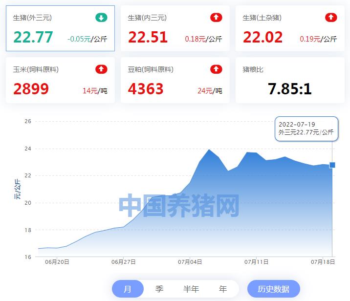 中国电子游艺网站下载安装
