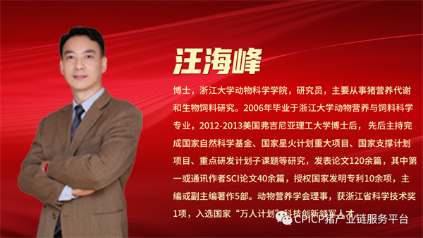 中国电子游艺网站下载安装
