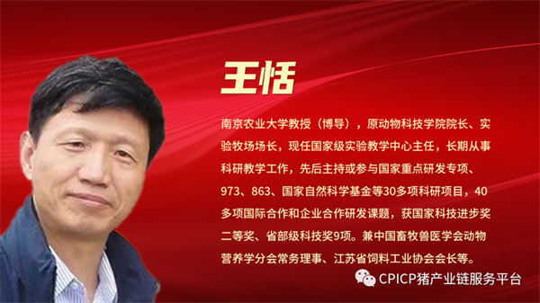 中国电子游艺网站下载安装
