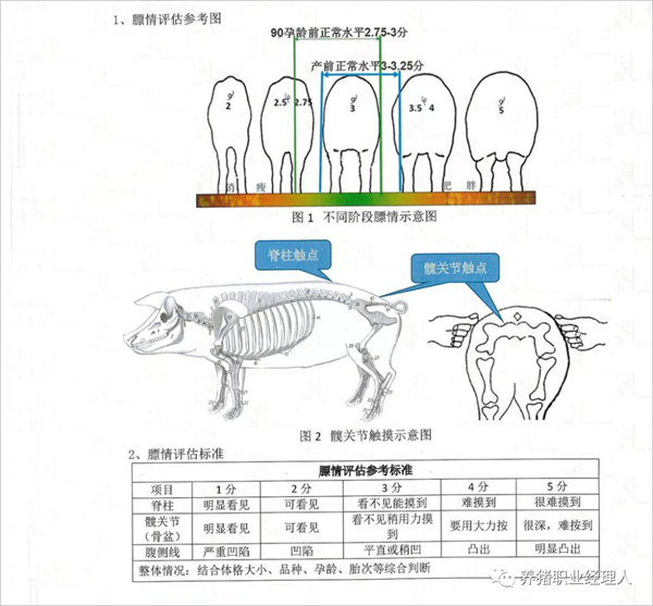 中国电子游艺网站下载安装

