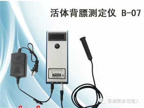 中国电子游艺网站下载安装
