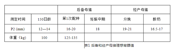 中国电子游艺网站下载安装
