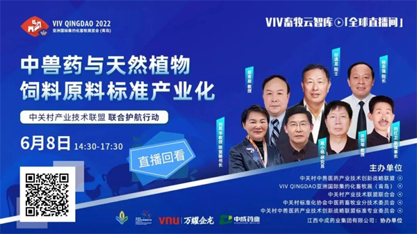 中国电子游艺网站下载安装
