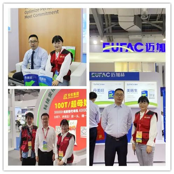 中国电子游艺网站下载安装
