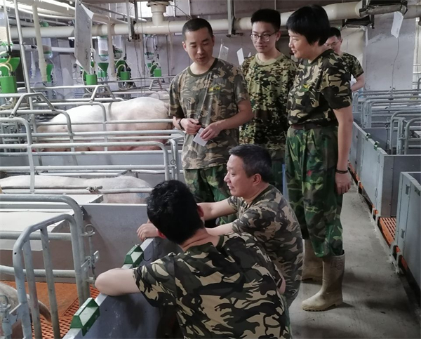 中国电子游艺网站下载安装

