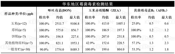 中国电子游艺网站下载安装