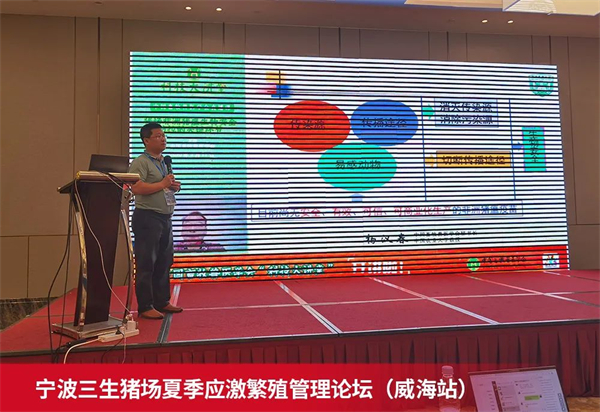 中国电子游艺网站下载安装
