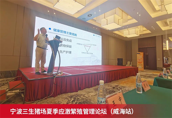 中国电子游艺网站下载安装
