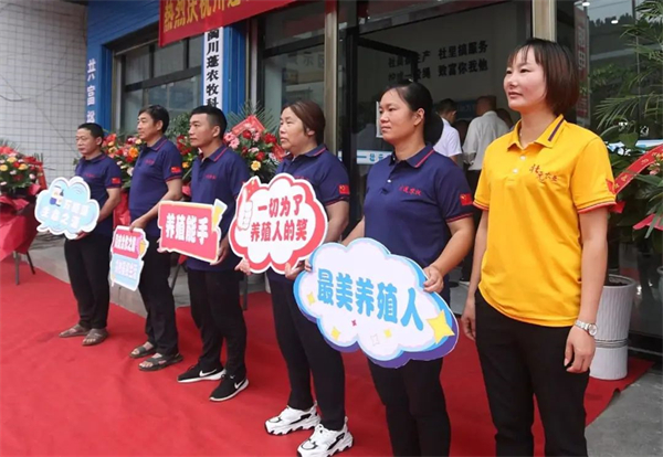 中国电子游艺网站下载安装
