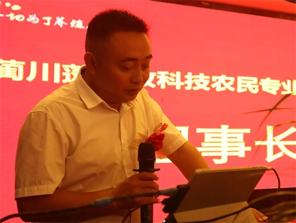 中国电子游艺网站下载安装
