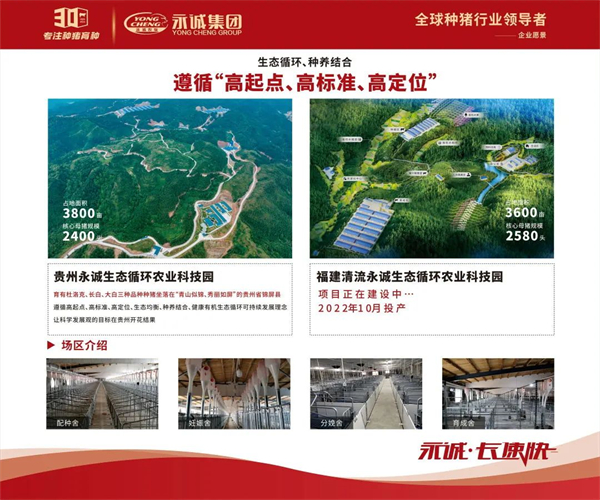 中国电子游艺网站下载安装
