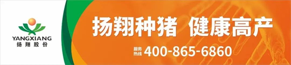 中国电子游艺网站下载安装
