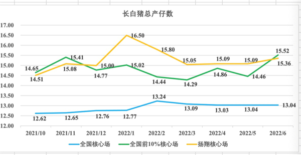 中国电子游艺网站下载安装
